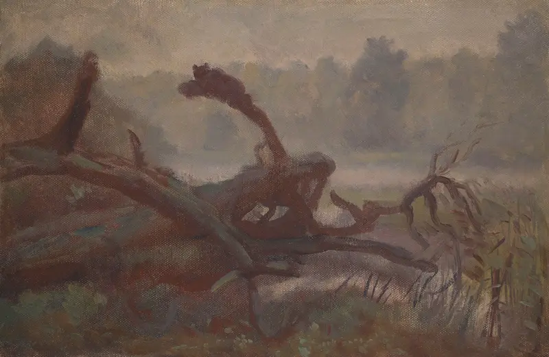 Wilderness; Forest Windfalls, oil on canvas by Jozef Chelmonski depicting a forest with fallen branches