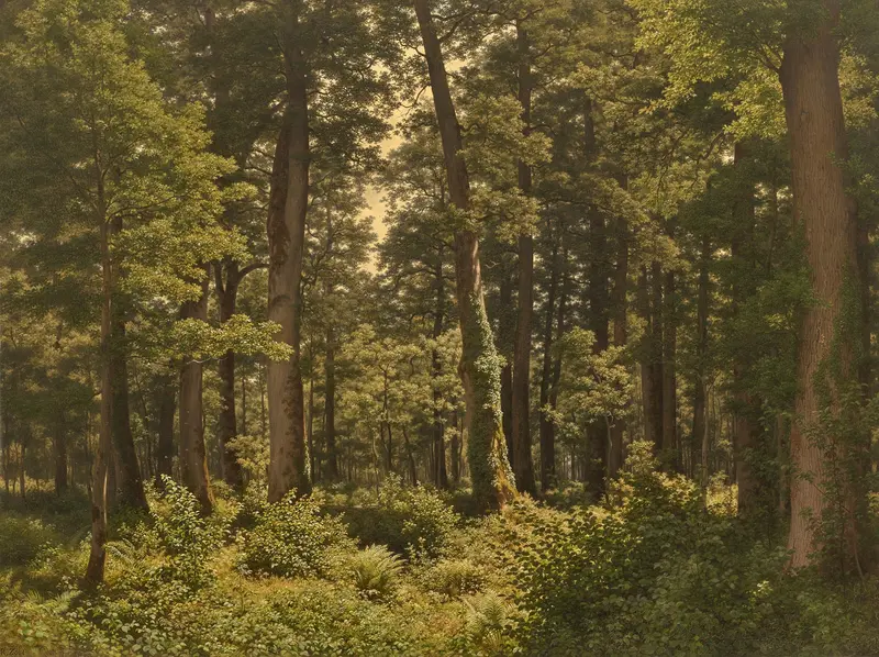 Eichwald (Oak Forest) by Robert Zünd, oil painting depicting an oak forest with dappled light.