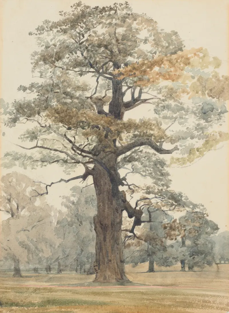 Oak in Kettlestone Park by James Crowe Richmond, oil on canvas depicting a grand oak tree.