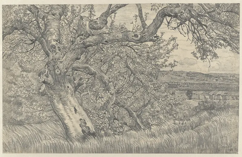 Oude boom in glooiend landschap by Pieter Dupont, realism, depicting a sprawling tree in a landscape.