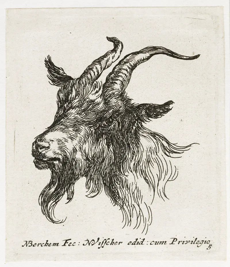 Goat's head etching by Nicolaes Pietersz Berchem