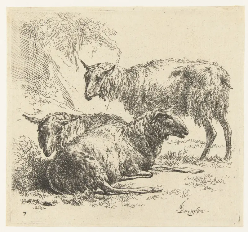 Etching by Nicolaes Pietersz Berchem depicting two lying sheep and one standing sheep in a natural setting.