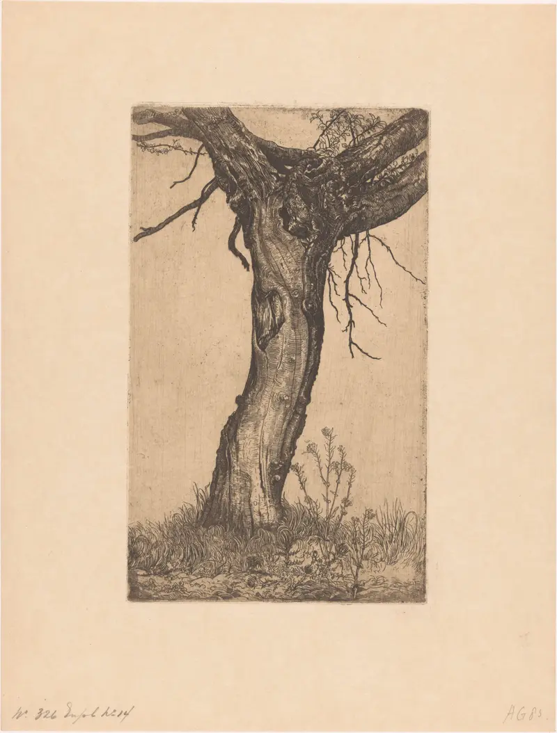 Landscape oil painting by Pieter Dupont featuring a gnarled willow tree.
