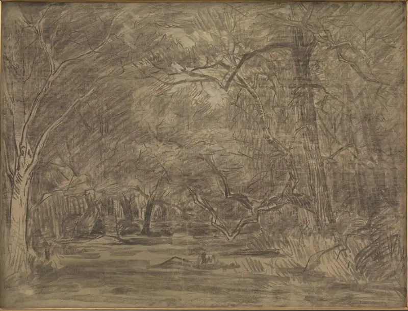 A dense stand of trees with thick and thin trunks, tangled branches, and overlapping foliage fills the entire image.
