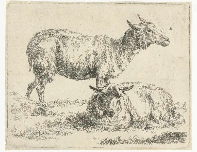 Etching by Nicolaes Pietersz Berchem depicting a standing sheep and a reclining sheep