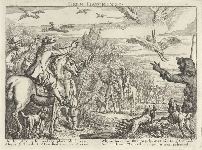 Valkenjacht op reigers en eenden, etching by Richard Gaywood depicting a landscape with birds and water.