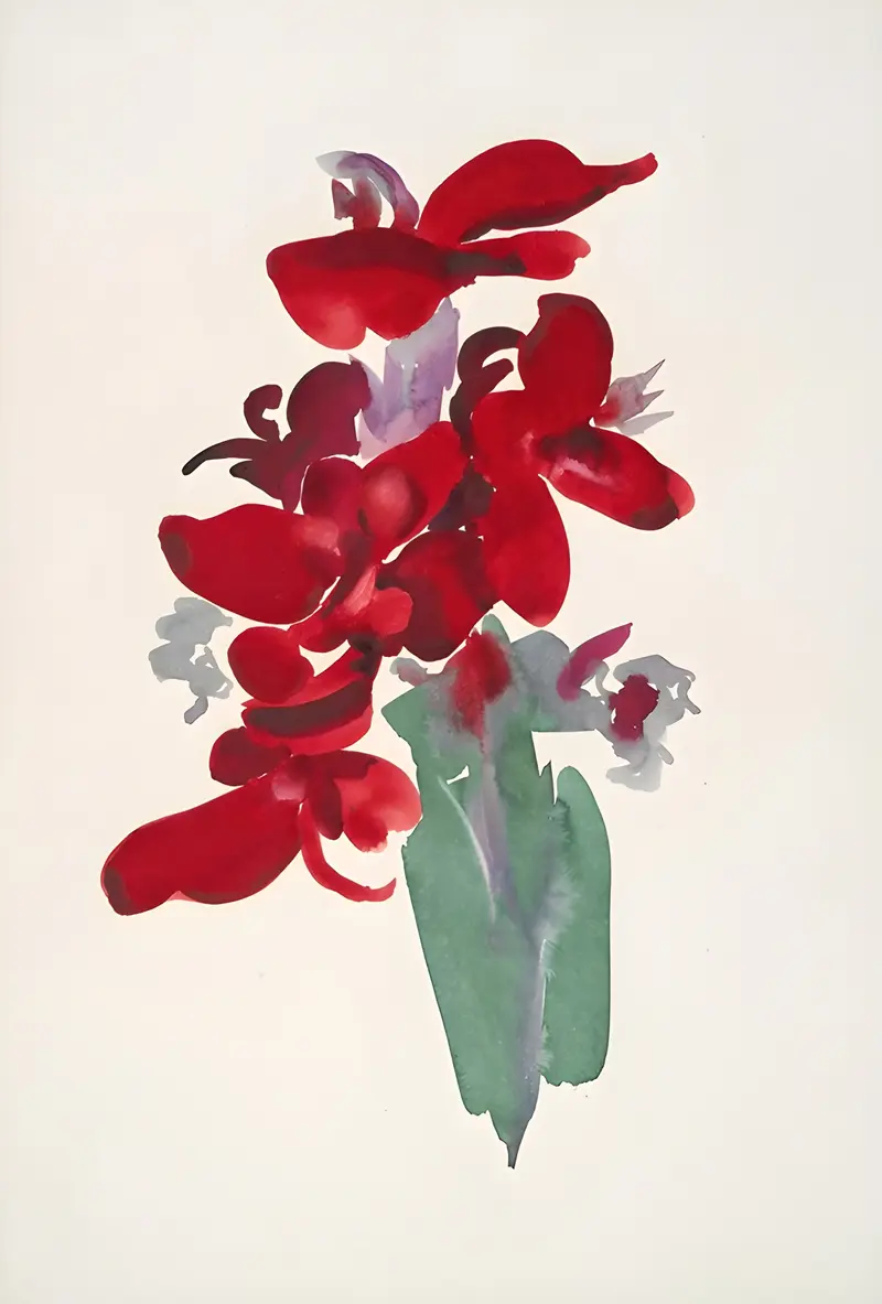 A close-up view of a vibrant red canna lily, showcasing its petals in fiery hues.
