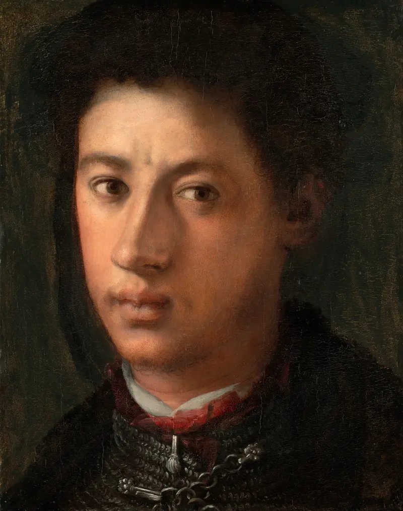 Portrait of Alessandro de' Medici, oil on panel by Pontormo