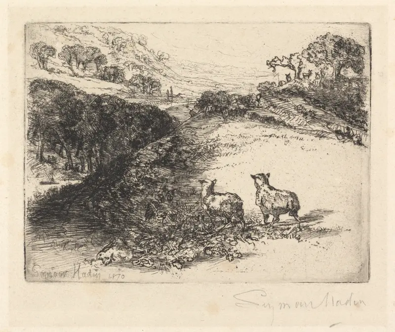 Two sheep illuminated by soft light, etching by Francis Seymour Haden