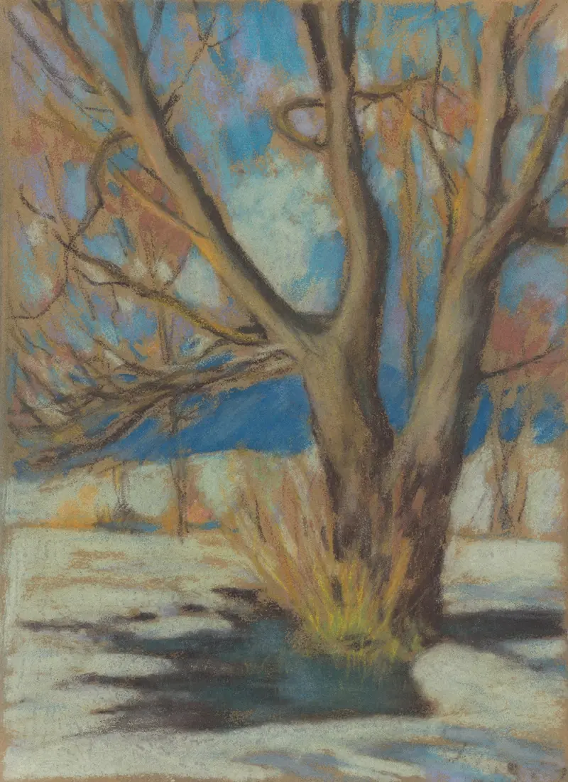 Study of a Bare Tree in the Winter, watercolor on paper by Zolo Palugyay