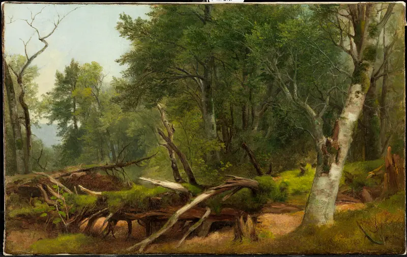 Forest scene in the Catskills, oil on canvas by Asher Brown Durand