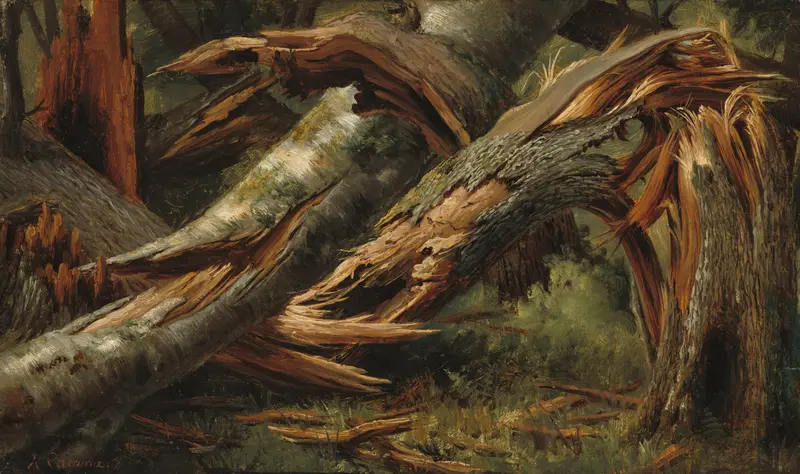 A close view of a fallen tree with jagged splinters and exposed heartwood, illuminated by light on its torn surfaces.