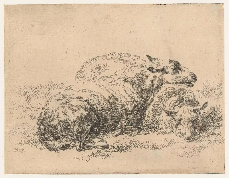 Etching by Nicolaes Pietersz Berchem showing two sheep resting in a green landscape.