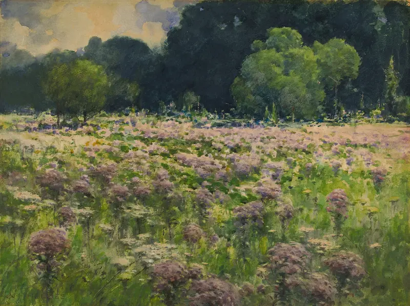 Watercolour by William Henry Holmes depicting joe pie weeds in a natural landscape