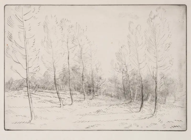 Avenue of Poplars by Alphonse Legros, oil on canvas featuring poplar trees and golden light.