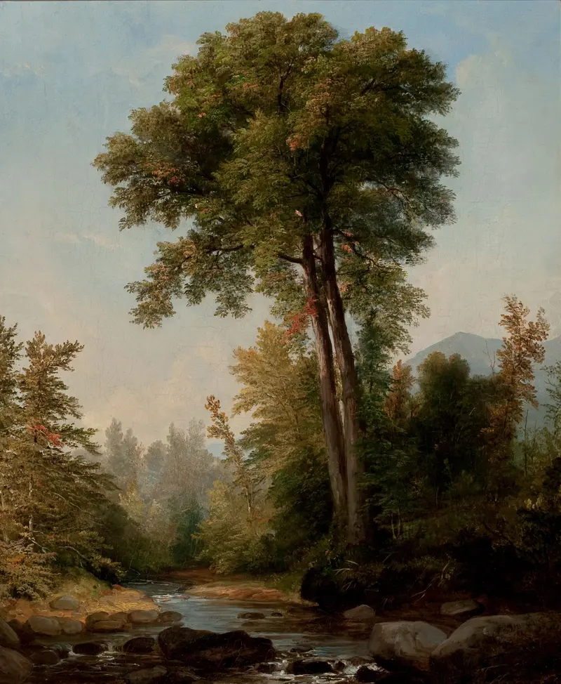 Landscape with a tree, oil painting by Asher Brown Durand