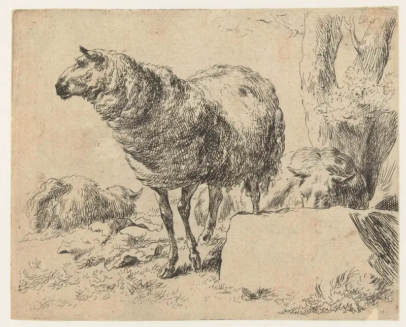 Landscape with three sheep, etching by Nicolaes Pietersz Berchem