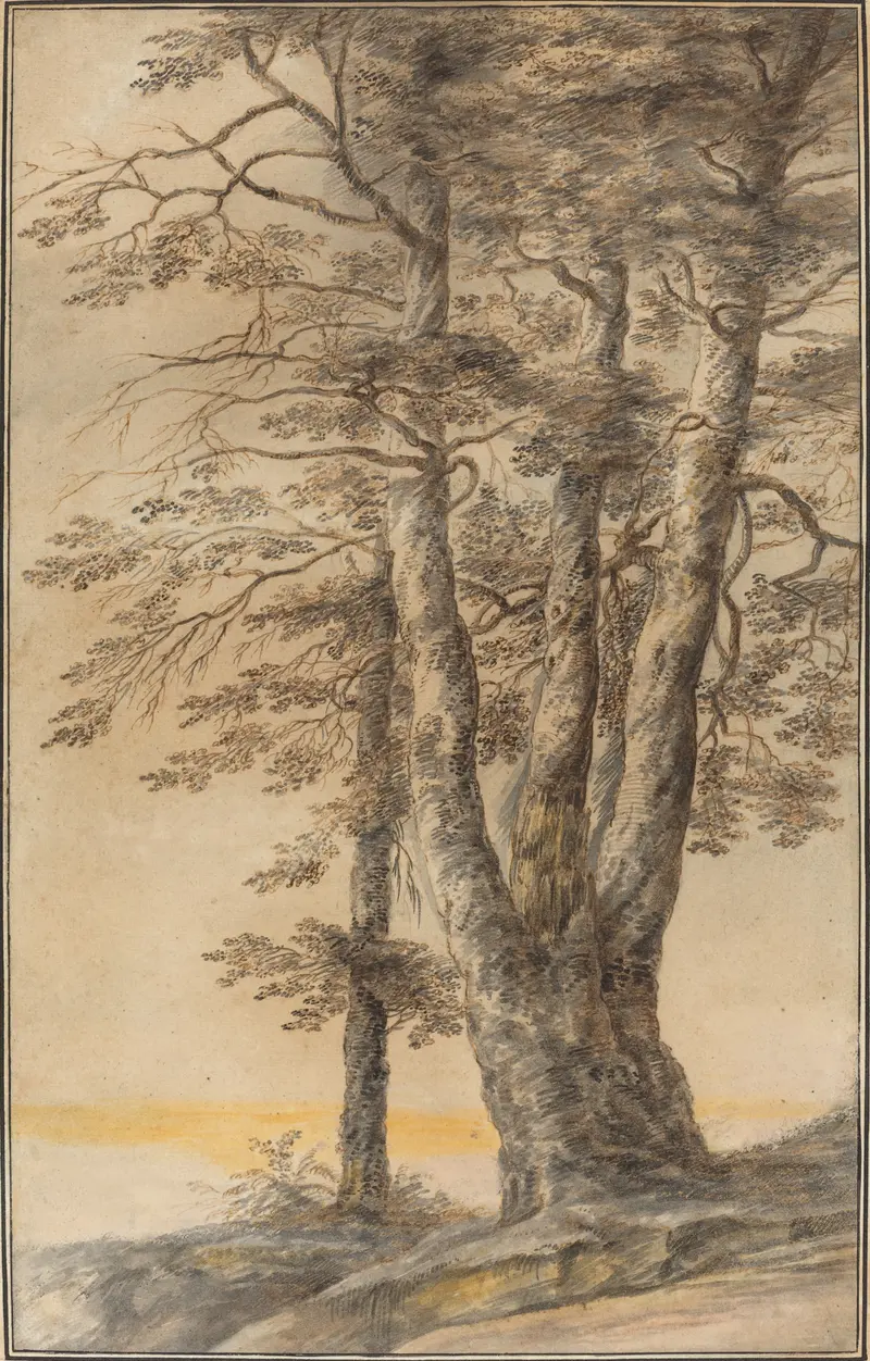 Study of Trees by Lucas van Uden, oil on canvas depicting trees and dappled light