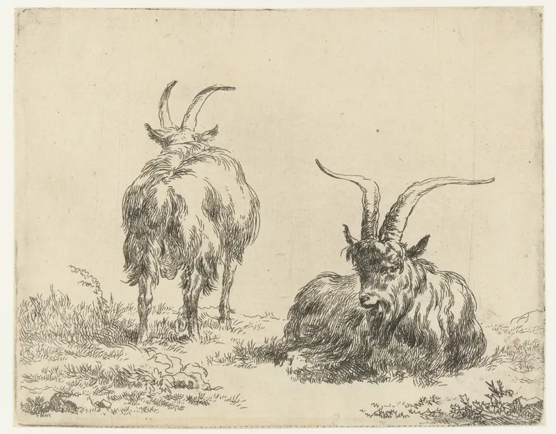 Etching by Nicolaes Pietersz Berchem depicting goats in soft light