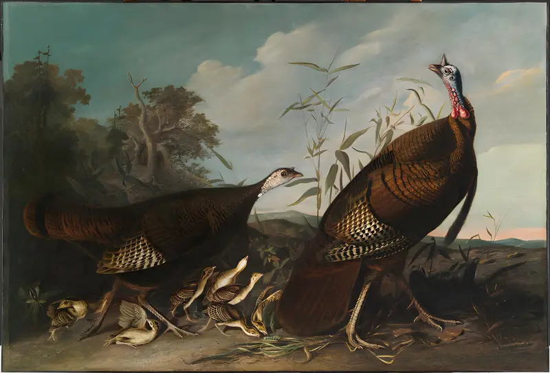 Wild Turkey Cock, Hen, and Chicks, oil on canvas by John James Audubon